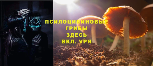 прущие крисы Алексеевка