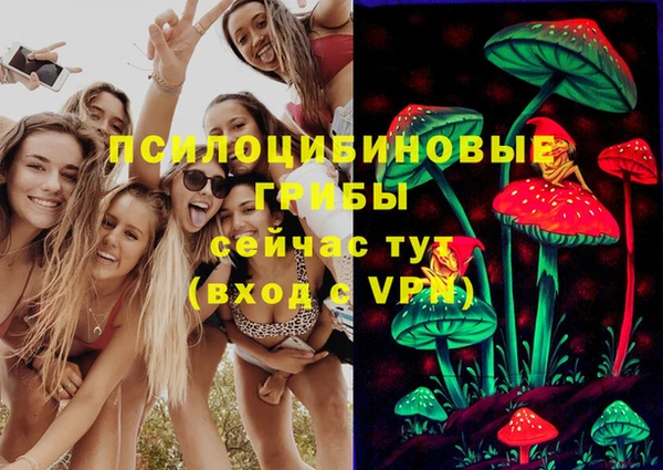 гидропоника Алзамай