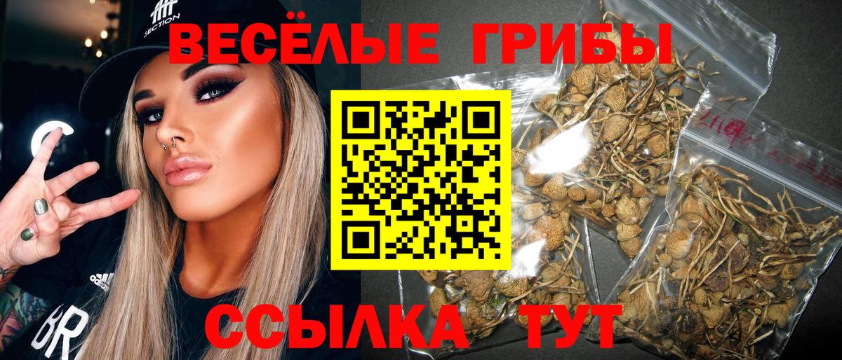 Апшеронск  Галлюциногенные грибы GOLDEN TEACHER  наркошоп  Вход с VPN 